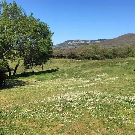 Σπίτι διακοπών Grand : La Bergerie Soumont