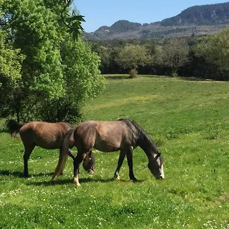 Grand : La Bergerie Soumont